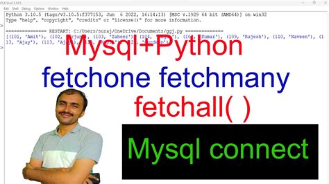 MySQL 查询数据报错Call to a member function fetchAll () on .